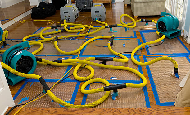 Professional Structural Drying And Dehumidification technician working in Salina, OK